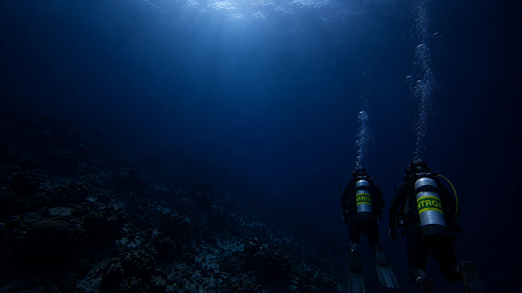 Due subacquei nel blu profondo accanto alla barriera: corsi di specialità