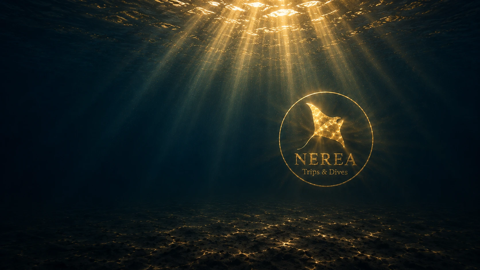 Raggi di sole che filtrano sott'acqua sopra il logo di Nerea