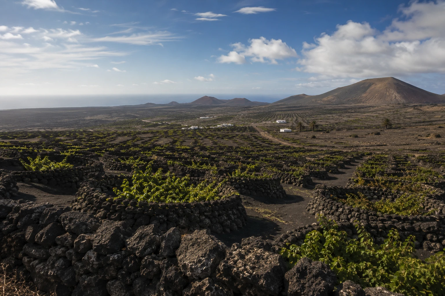 Vigneti e coni vulcanici nell'entroterra di Lanzarote